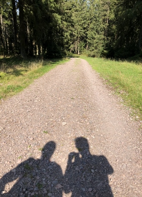 Von Masserberg nach Schmiedefeld - Zwei im Wald