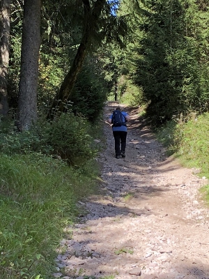 Von Schmiedefeld nach Oberhof - Großer Finsterberg