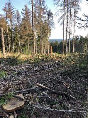 Von Masserberg nach Schmiedefeld - Wildes Thüringen