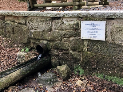 Von Neuhaus am Rennweg nach Masserberg - Schwarzaquelle