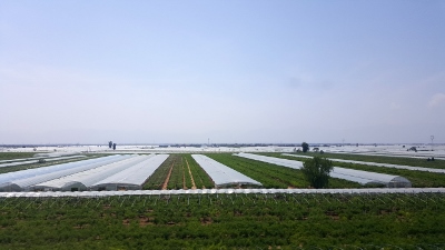 Unterwegs von Pingyao nach Xi`an