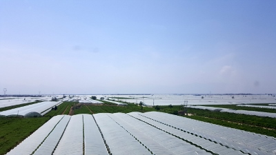 Unterwegs von Pingyao nach Xi`an