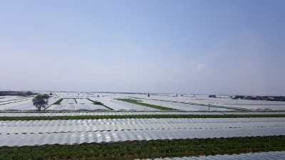 Unterwegs von Pingyao nach Xi`an