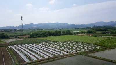 Unterwegs von Huangshan nach Hangzhou