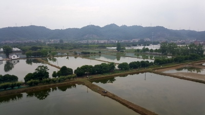 Unterwegs von Huangshan nach Hangzhou