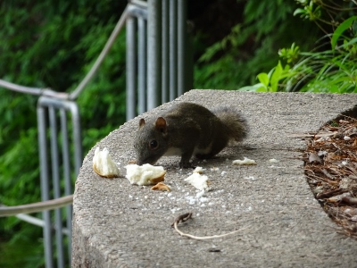 Frühstück in den Yellow Mountains
