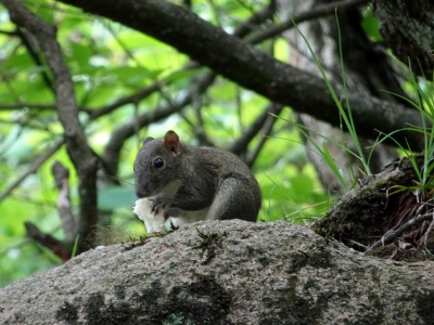 Frühstück in den Yellow Mountains