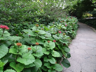 Wanderung am West Lake in Hangzhou