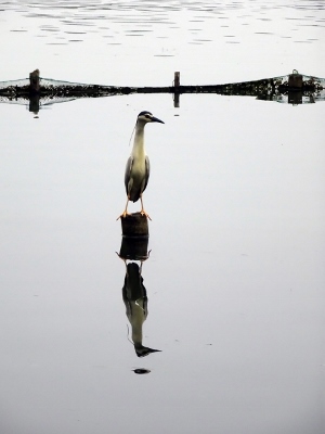 Wanderung am West Lake in Hangzhou