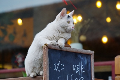 The Ancient City of Pingyao