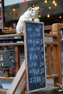 The Ancient City of Pingyao