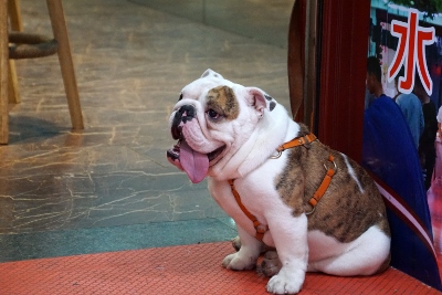 Muslim Street in Xi`an