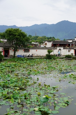 Hongcun Village