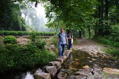 Wandertour durch Teeplantagen in Hangzhou