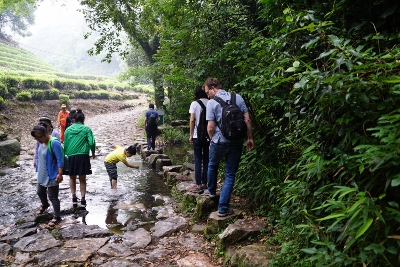 Wandertour durch Teeplantagen in Hangzhou