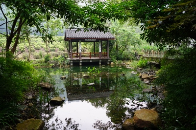 Wandertour durch Teeplantagen in Hangzhou