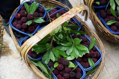 Wandertour durch Teeplantagen in Hangzhou