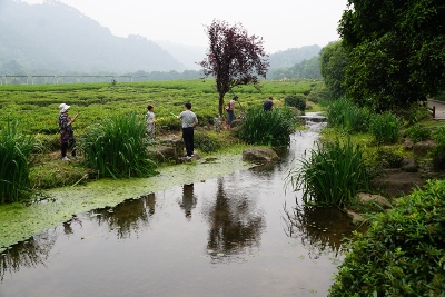 Wandertour durch Teeplantagen in Hangzhou