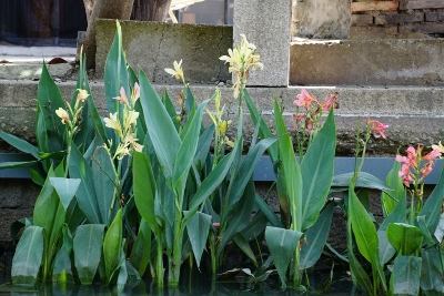 Pingjiang Road in Suzhou