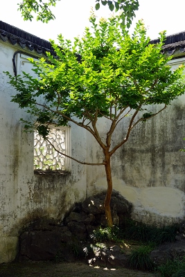 Master of Nets Garden in Suzhou