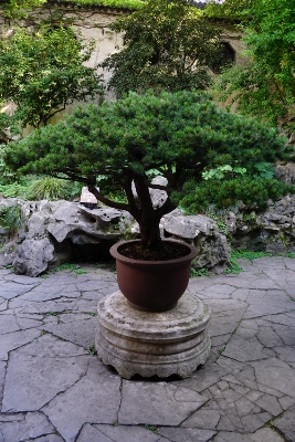 Liu - oder Lingering Garden in Suzhou
