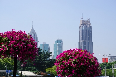 Straßenbummeln in Shanghai