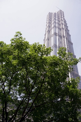 Sightseeing in Pudong (Shanghai)