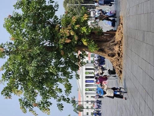 Jakarta - Fatahillah Square