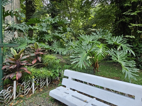 Bogor - Botanischer Garten