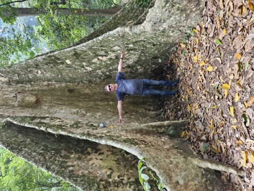 Bogor - Botanischer Garten