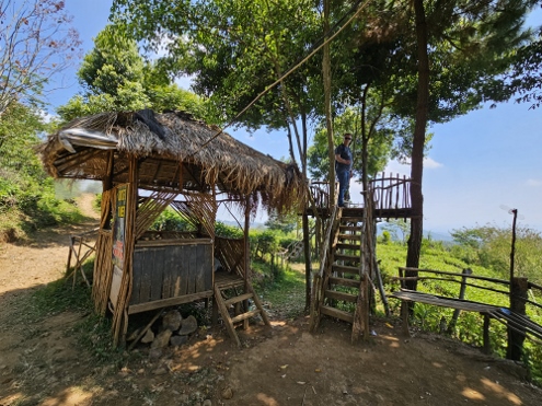 Tee... wohin man schaut