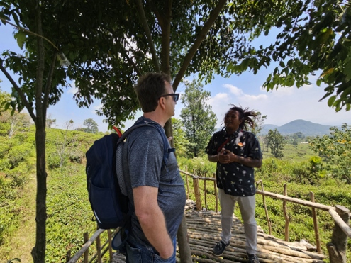 Tee... wohin man schaut