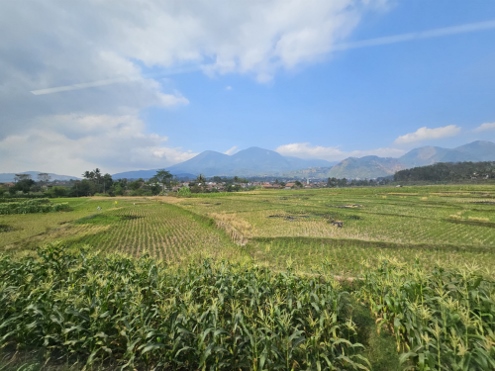 Zugfahrt von Bandung nach Yogjakarta