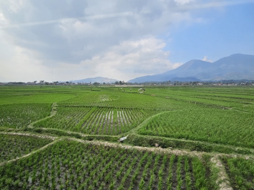 Zugfahrt von Bandung nach Yogjakarta