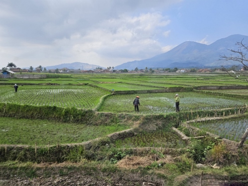 Zugfahrt von Bandung nach Yogjakarta