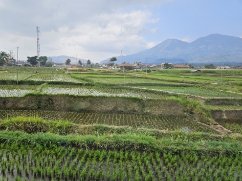 Zugfahrt von Bandung nach Yogjakarta