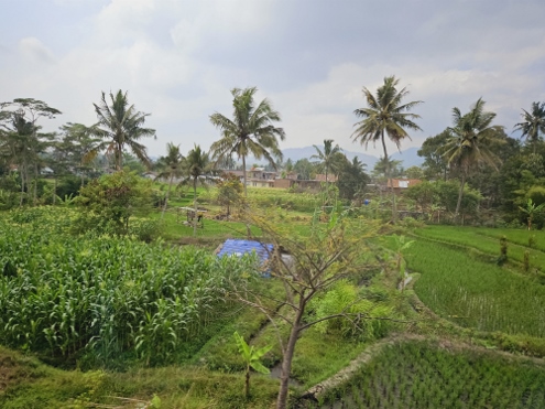 Zugfahrt von Bandung nach Yogjakarta