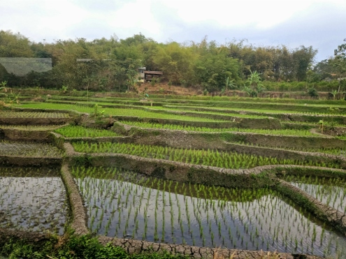 Zugfahrt von Bandung nach Yogjakarta