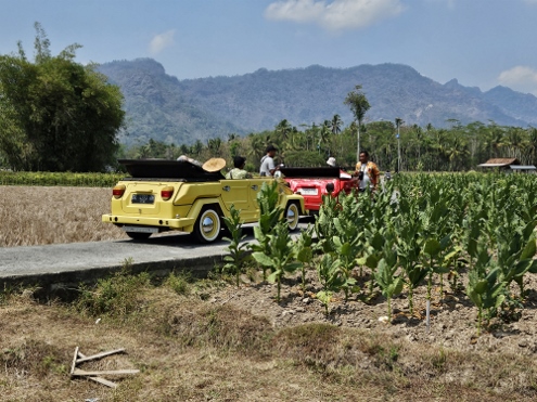 Unterwegs im Sonnenschein
