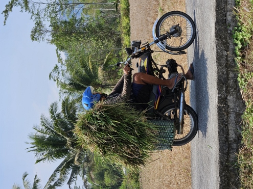 Unterwegs im Sonnenschein