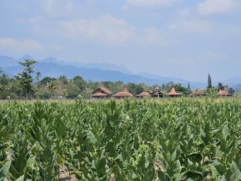 Unterwegs im Sonnenschein