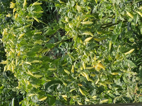 Unterwegs im Sonnenschein