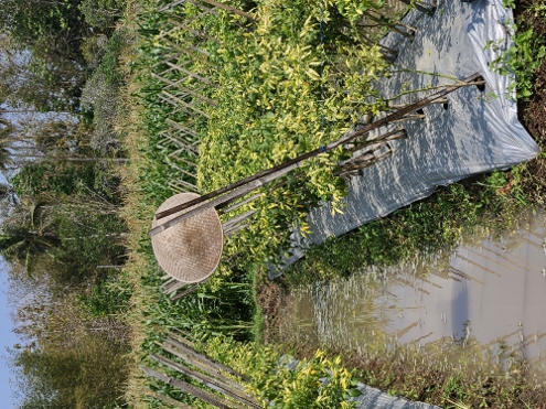 Unterwegs im Sonnenschein