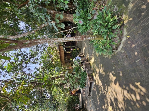 Palmzuckermanufaktur