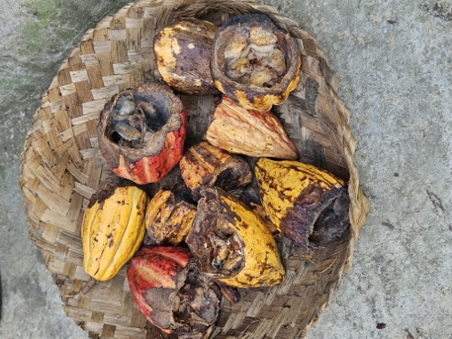 Kaffee, Tee und andere Leckereien