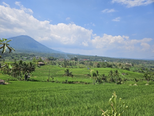 Bali - Jatiluwih