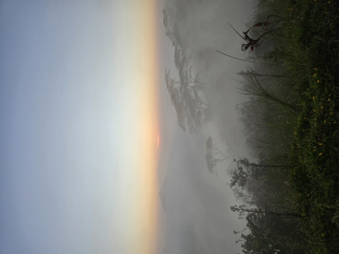 Bali - Sonnenaufgang am Bukit Cemara