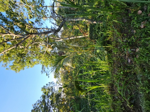 Bali - wilde Abfahrt vom Bukit Cemara