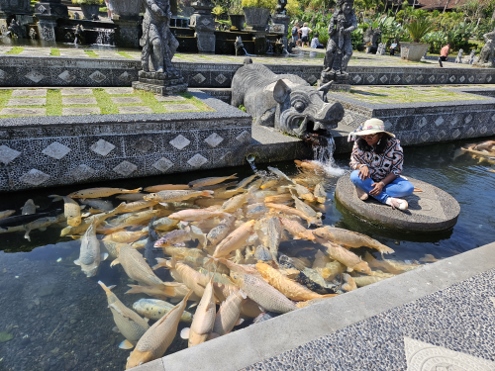 Bali - Tirta Gangga - Kleine Fische