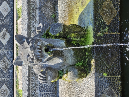 Bali - Wasserpalast Taman Tirta Gangga